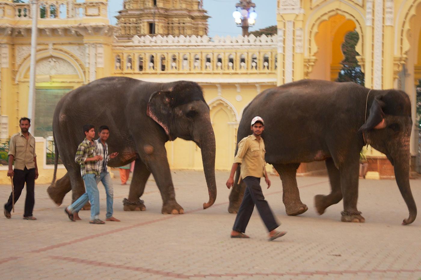 The daily walk in front of the palace.