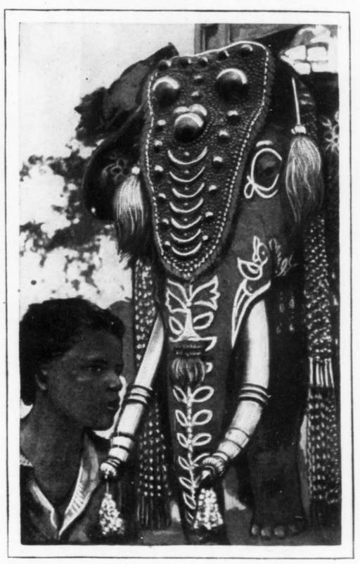 The state elephant of Mysuru in 1928. The magazine did not give his name.